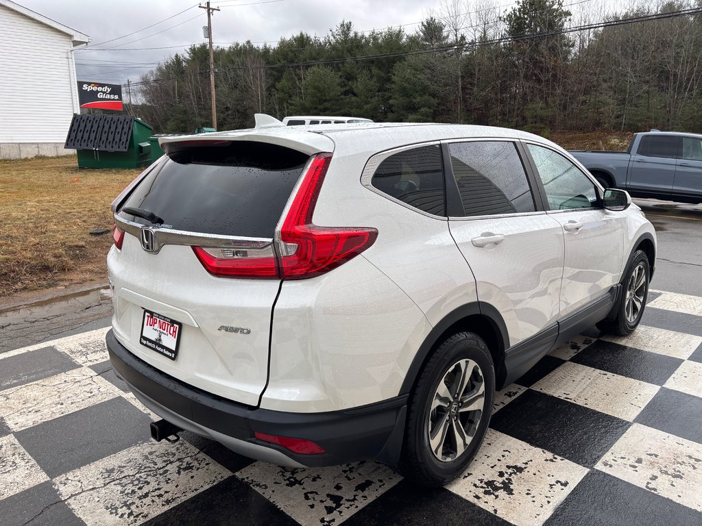 2019  CR-V LX - reverse camera, lane assist, heated mirrors in COLDBROOK, Nova Scotia - 4 - w1024h768px