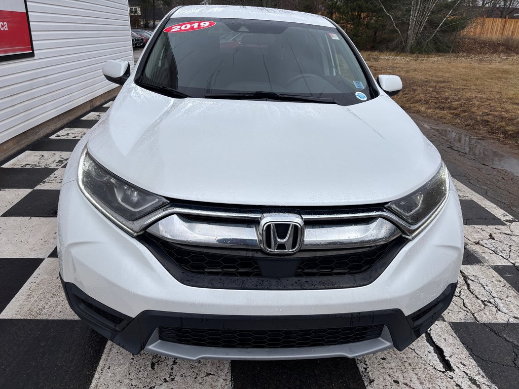 2019  CR-V LX - reverse camera, lane assist, heated mirrors in COLDBROOK, Nova Scotia - 2 - w1024h768px