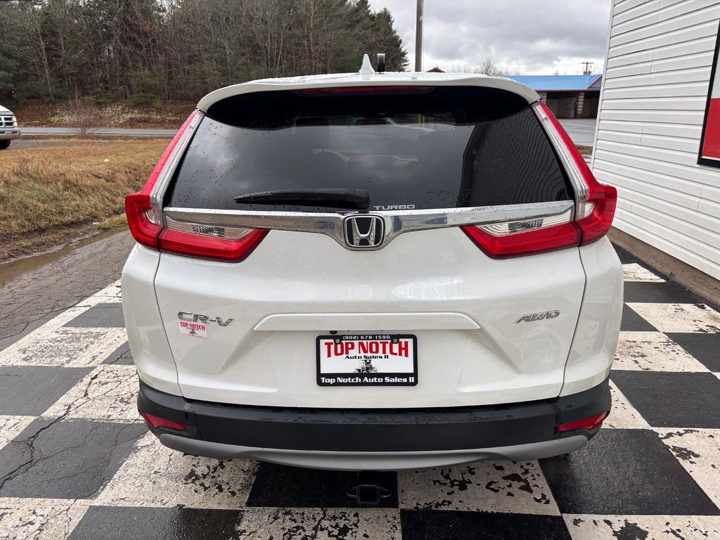 2019  CR-V LX - reverse camera, lane assist, heated mirrors in COLDBROOK, Nova Scotia - 5 - w1024h768px