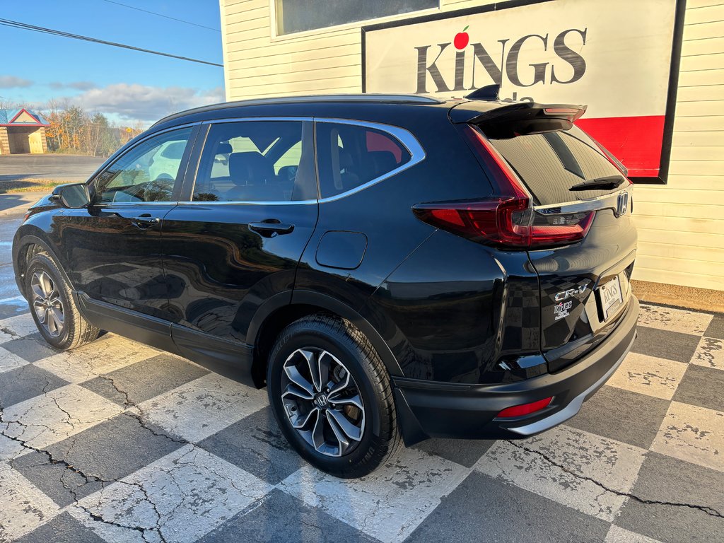 2020  CR-V EX-L - sunroof, reverse camera, dual climate zones in COLDBROOK, Nova Scotia - 6 - w1024h768px