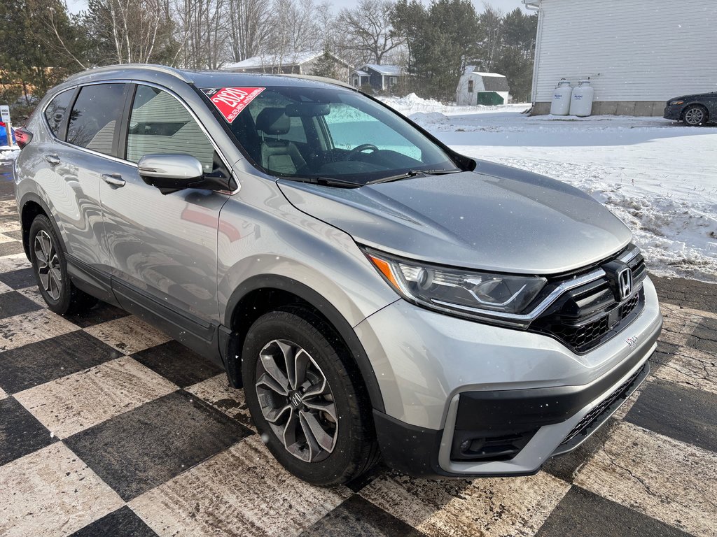 2020 Honda CR-V EX-L - leather seats, power seats, sunroof, a/c in COLDBROOK, Nova Scotia - 3 - w1024h768px