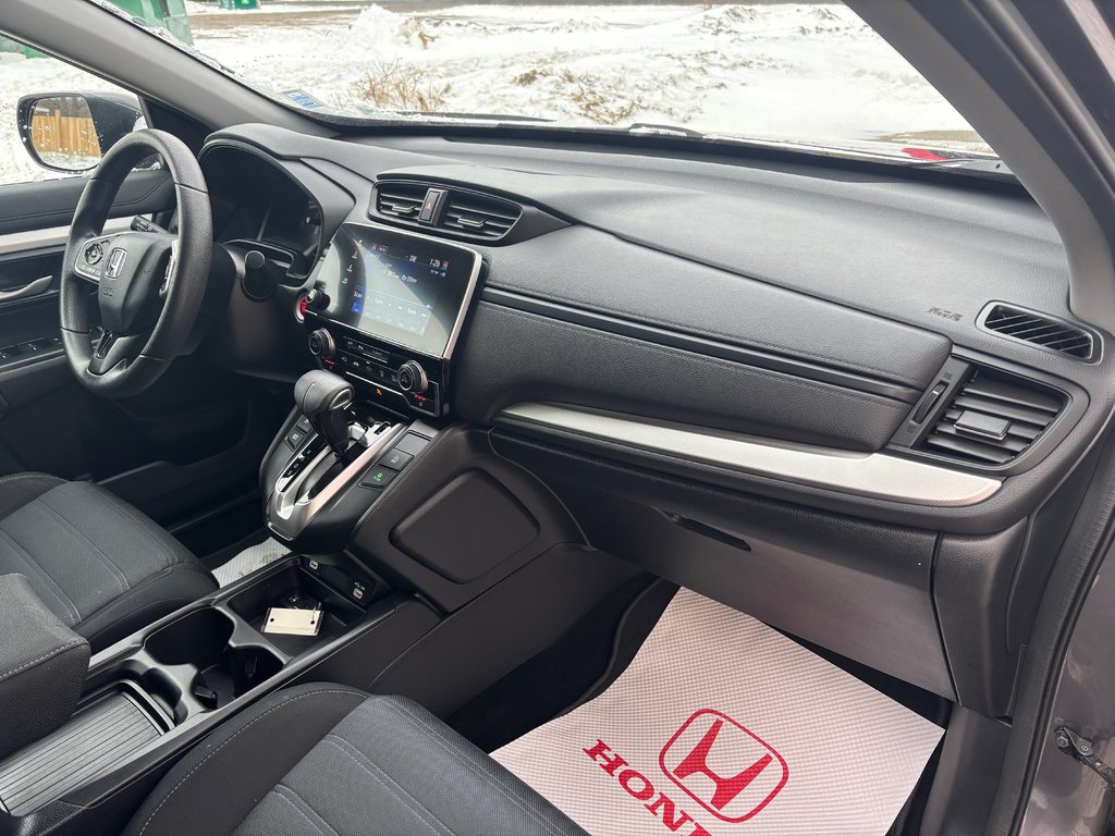 2020 Honda CR-V LX in COLDBROOK, Nova Scotia - 22 - w1024h768px