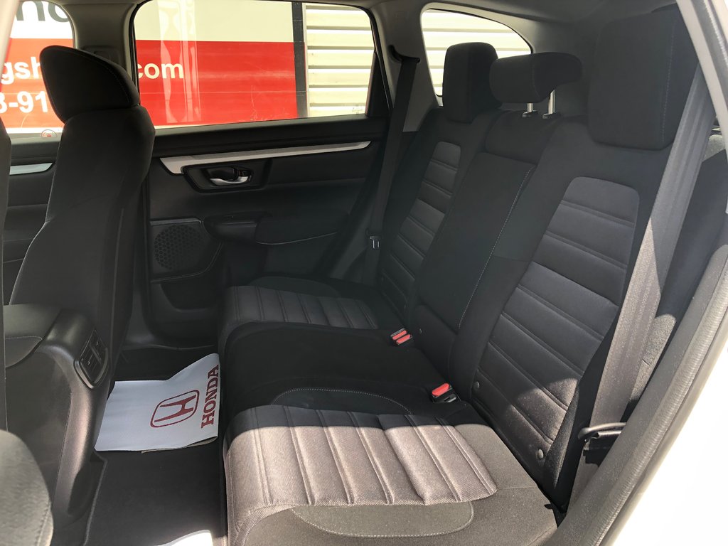 2020 Honda CR-V LX - Reverse Camera, Econ Mode, Carplay in COLDBROOK, Nova Scotia - 20 - w1024h768px