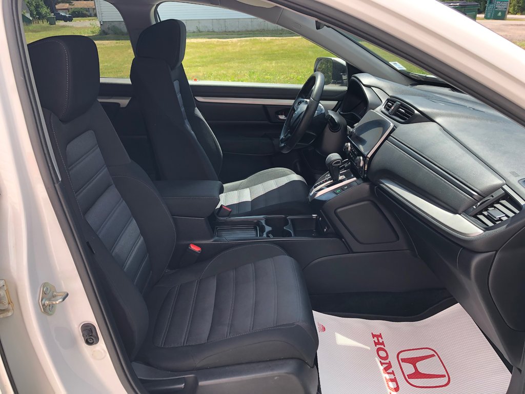 2020 Honda CR-V LX - Reverse Camera, Econ Mode, Carplay in COLDBROOK, Nova Scotia - 24 - w1024h768px
