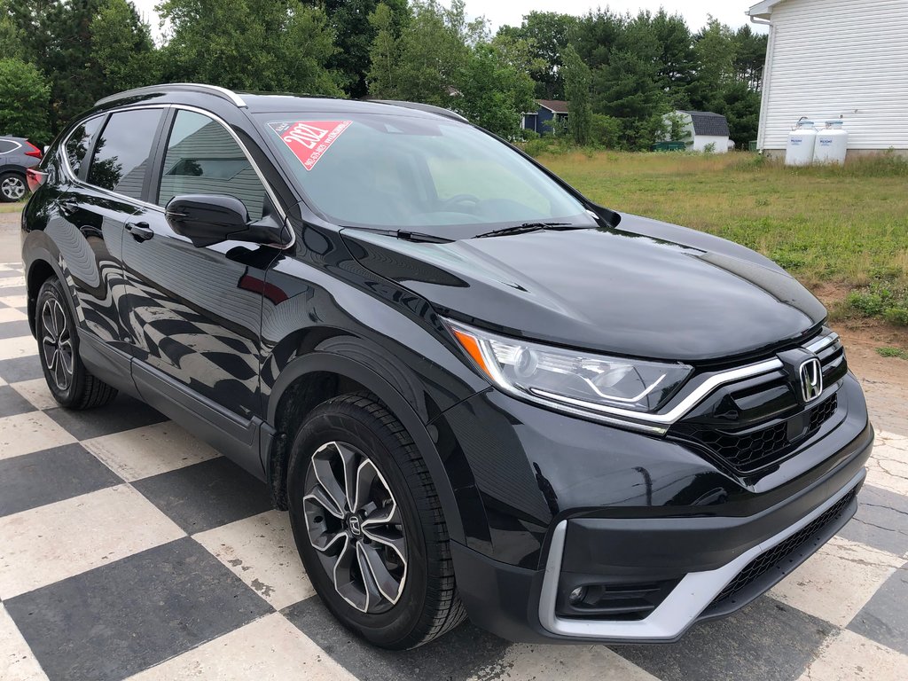 2021  CR-V EX-L - AWD, Heated seats, Leather, Sunroof, ACC in COLDBROOK, Nova Scotia - 3 - w1024h768px