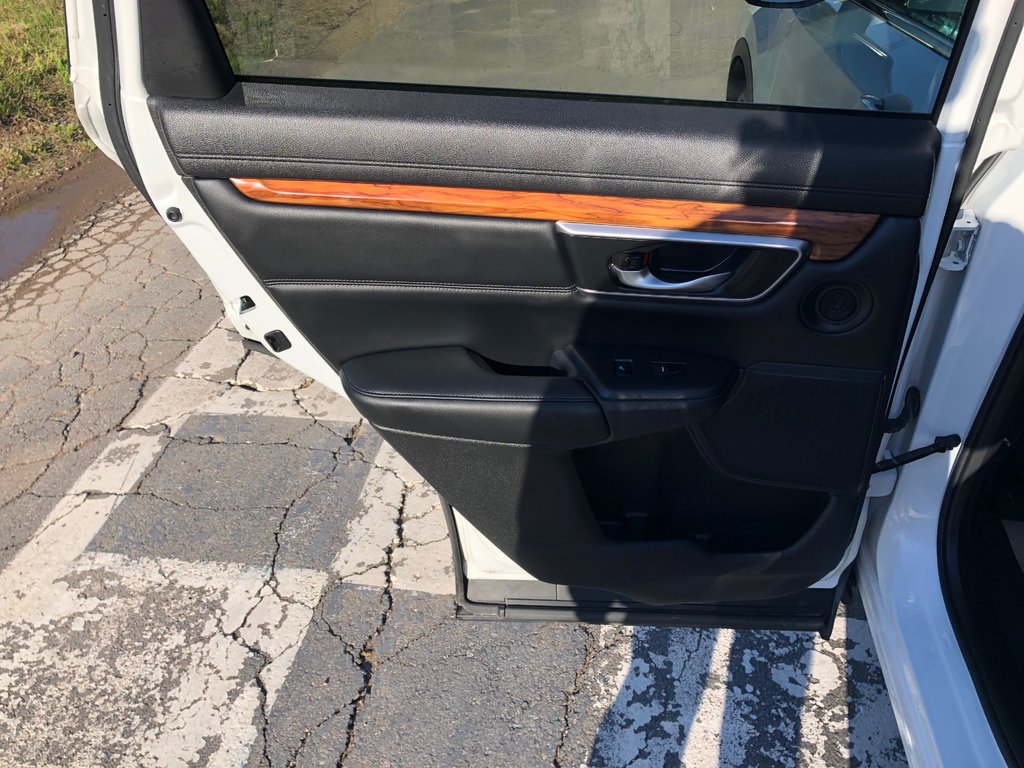 2021 Honda CR-V EX-L - power & heated seats, dual climate zones in COLDBROOK, Nova Scotia - 22 - w1024h768px