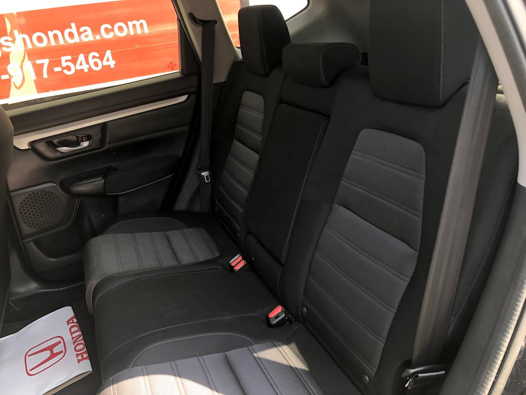 2021 Honda CR-V LX - reverse camera, hands free, cruise control in COLDBROOK, Nova Scotia - 17 - w1024h768px