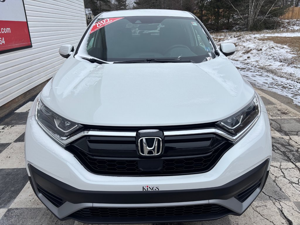 2022 Honda CR-V LX - heated seats, reverse camera, lane departure in COLDBROOK, Nova Scotia - 2 - w1024h768px