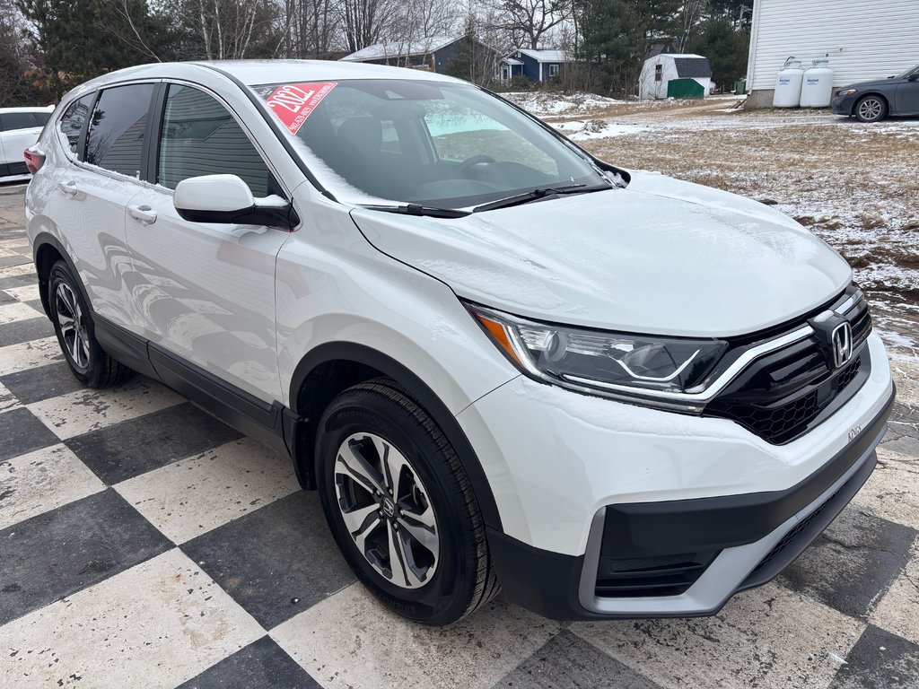 2022 Honda CR-V LX - heated seats, reverse camera, lane departure in COLDBROOK, Nova Scotia - 3 - w1024h768px