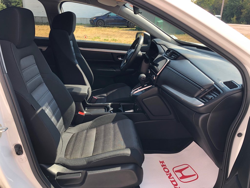 2022 Honda CR-V LX - Carplay, Heated Seats, Reverse Camera in COLDBROOK, Nova Scotia - 25 - w1024h768px