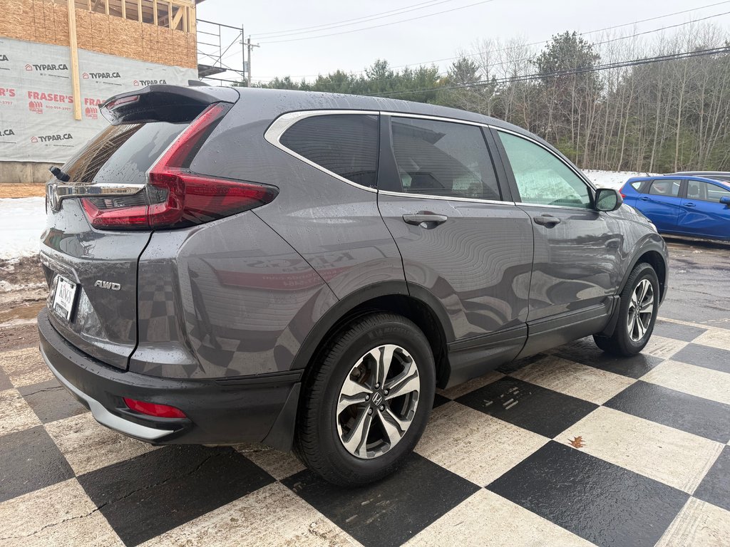 2022 Honda CR-V LX,Keyless entry, remote start, backup camera in COLDBROOK, Nova Scotia - 4 - w1024h768px