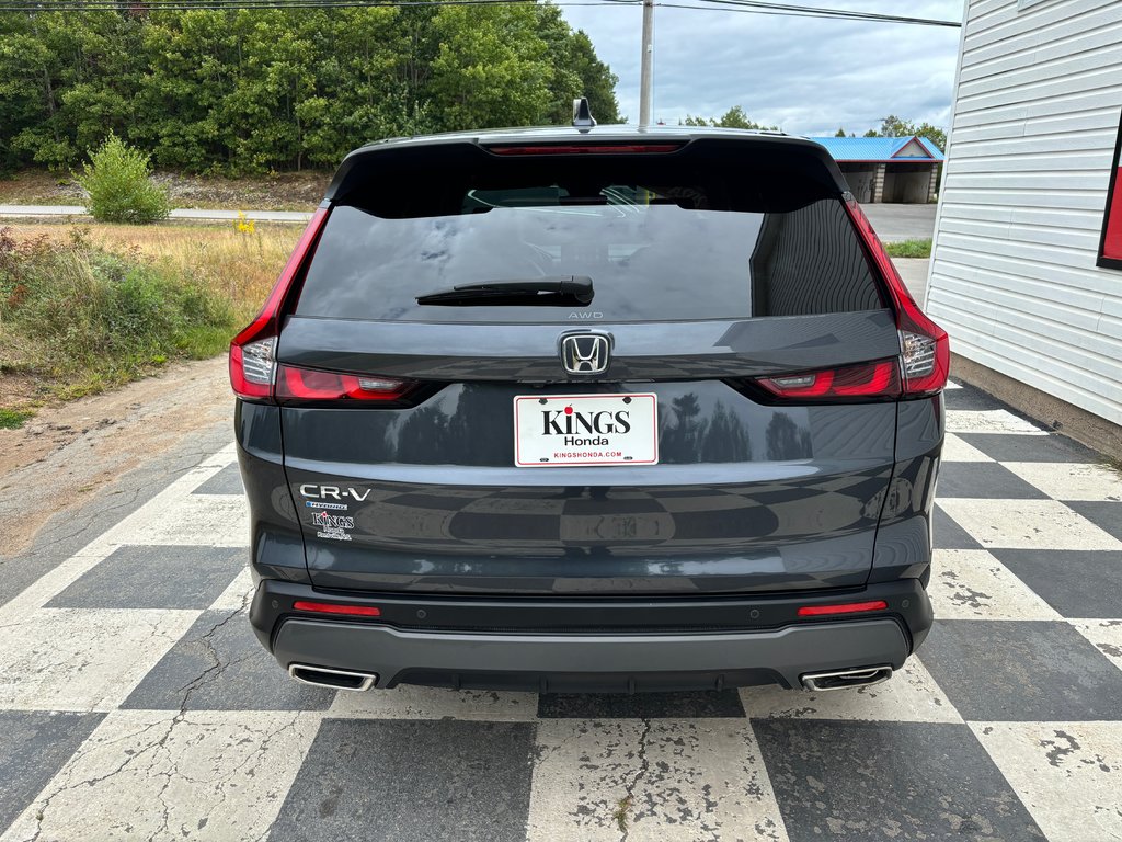 2024  CR-V EX-L - sunroof, reverse camera, car play, in COLDBROOK, Nova Scotia - 5 - w1024h768px