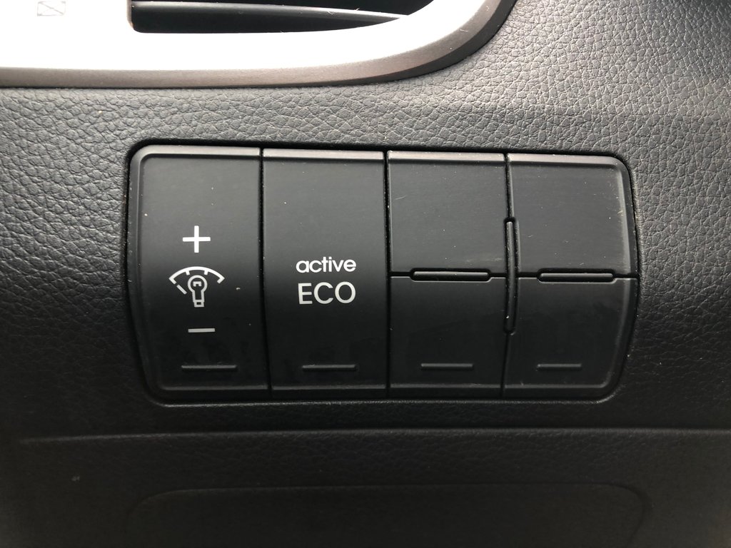 2014 Hyundai Elantra SE w/Tech Pkg - sunroof, power and heated seats in Kentville, Nova Scotia - 8 - w1024h768px