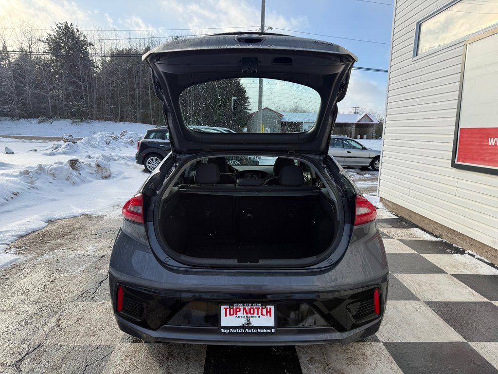 Hyundai IONIQ Preferred, Keyless entry, backup cam, navigation 2019 à Kentville, Nouvelle-Écosse - 17 - w1024h768px