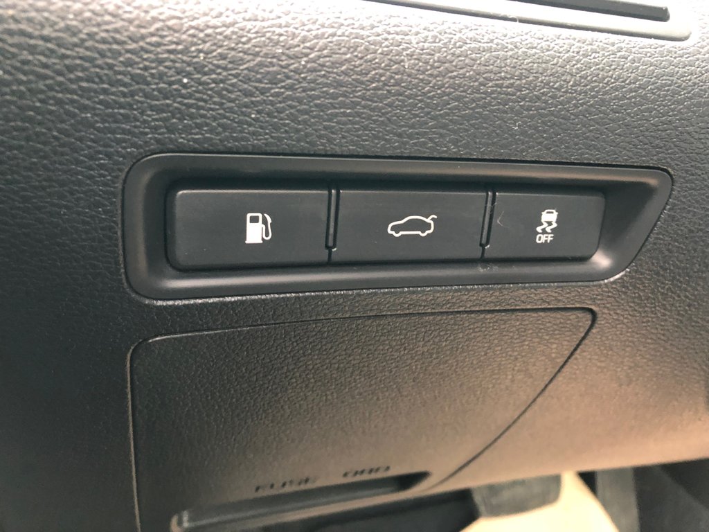2017 Hyundai Sonata 2.4L GL - cruise control, hands free, reverse cam in COLDBROOK, Nova Scotia - 8 - w1024h768px
