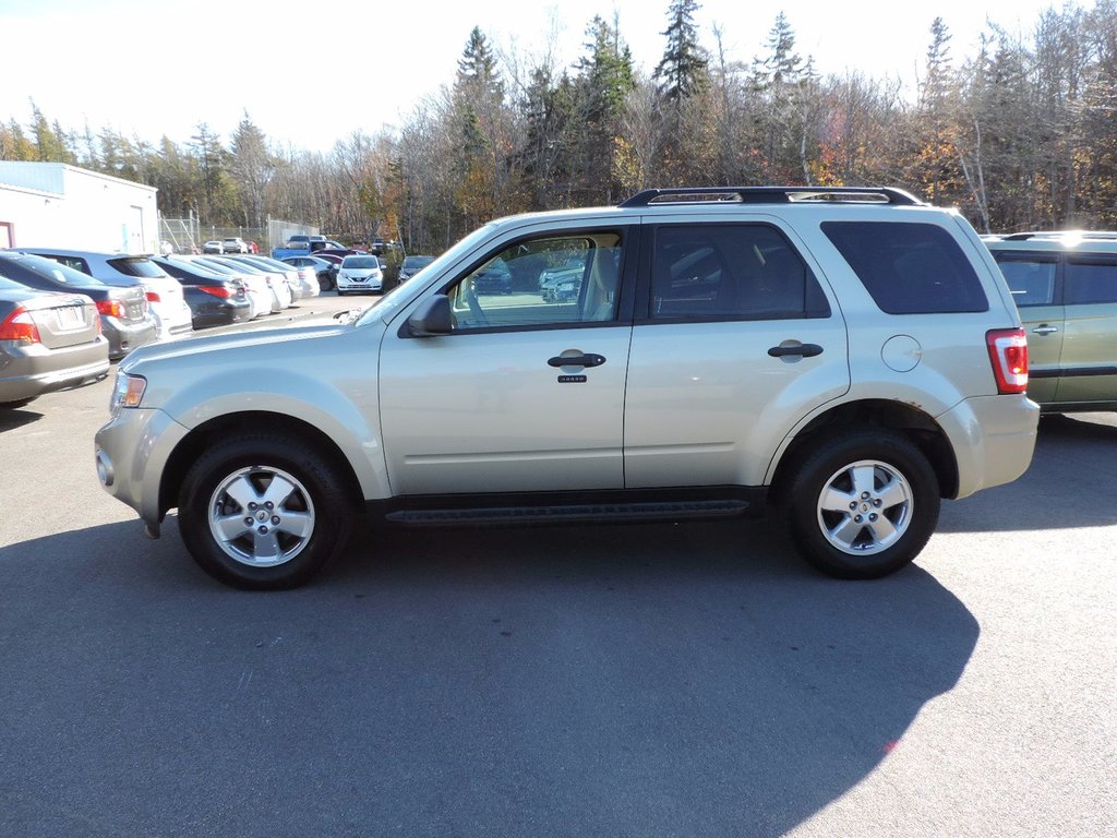 Used 2011 Ford Escape Xlt In Used Inventory Macdonald