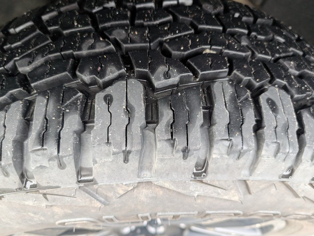 Chevrolet Silverado 1500 Custom Trail Boss 2022 à Magog, Québec - 21 - w1024h768px