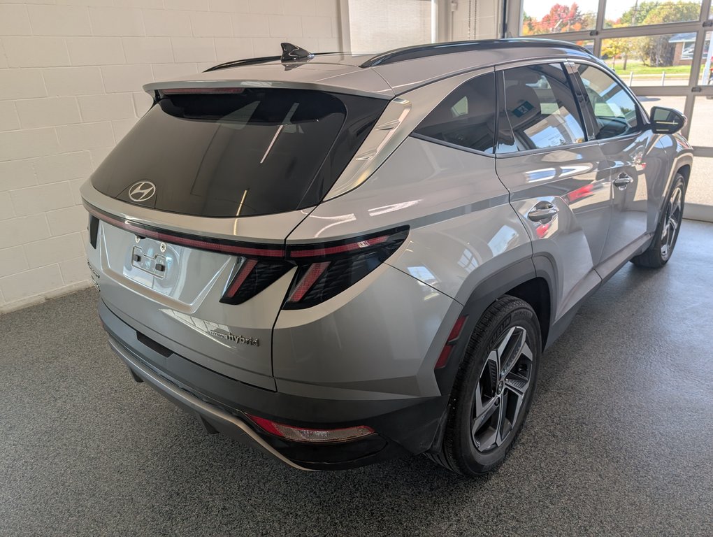 Hyundai Tucson Hybrid Luxury AWD, 2022 à Magog, Québec - 3 - w1024h768px