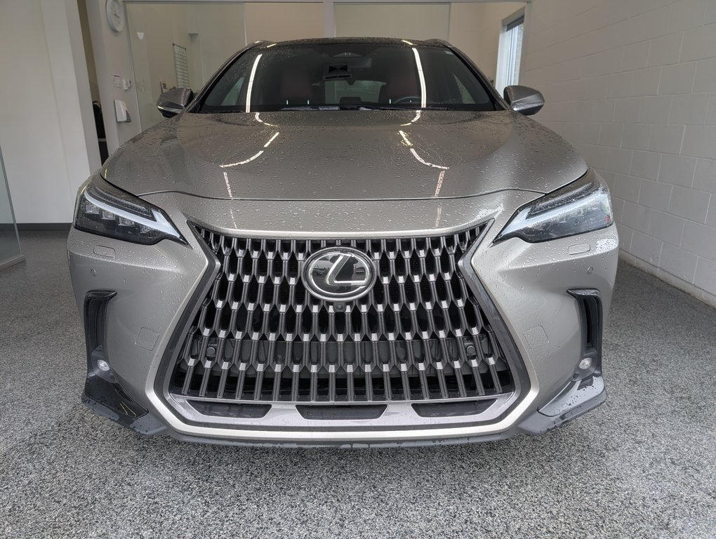 Lexus NX 350H GROUPE ULTRA LUXE 2024 à Magog, Québec - 5 - w1024h768px