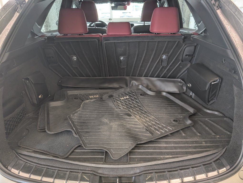 Lexus NX 350H GROUPE ULTRA LUXE 2024 à Magog, Québec - 6 - w1024h768px