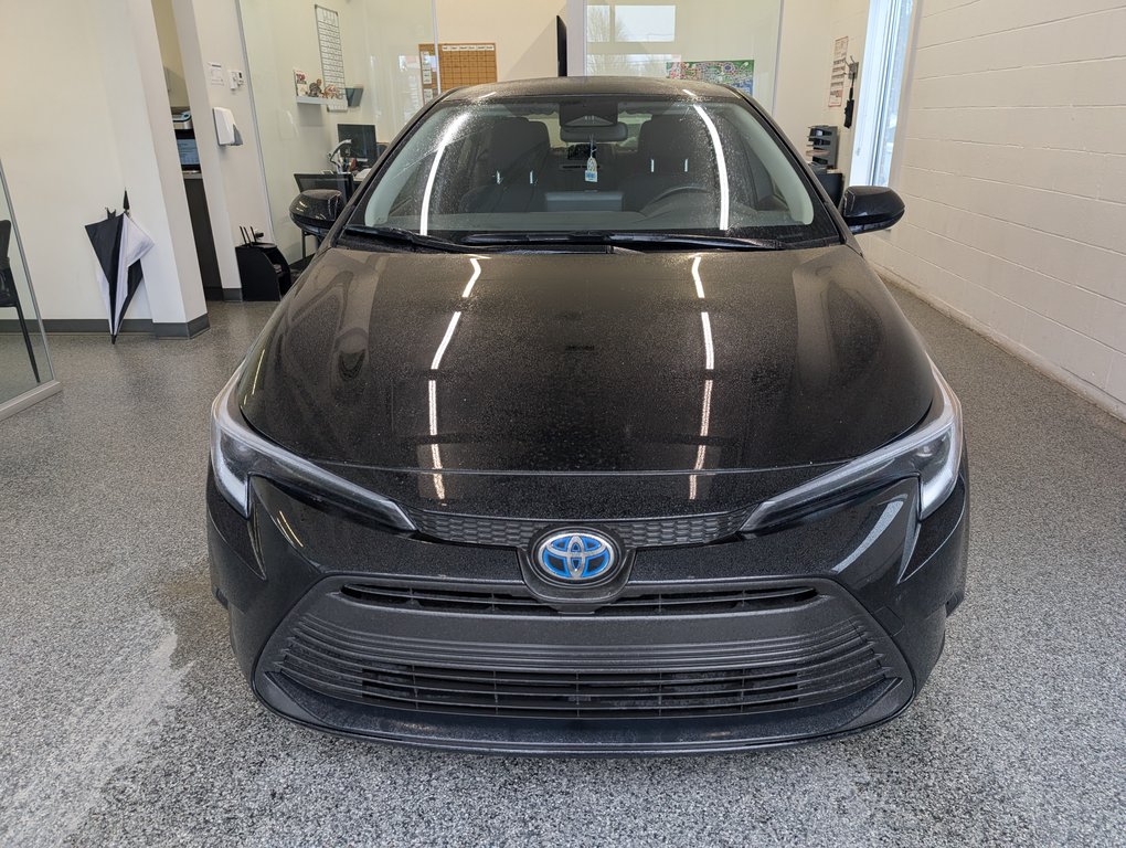 Toyota Corolla Hybride  LE AWD 2024 à Magog, Québec - 6 - w1024h768px