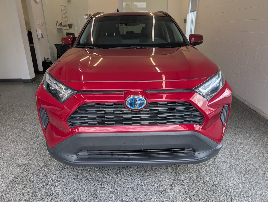 2023 Toyota RAV4 Hybrid XLE AWD, in Magog, Quebec - 5 - w1024h768px