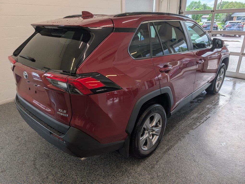 2023 Toyota RAV4 Hybrid XLE AWD, in Magog, Quebec - 3 - w1024h768px