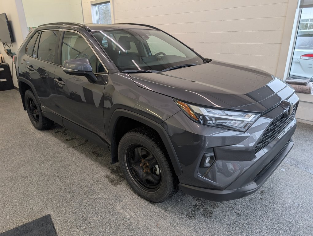 Toyota RAV4 Hybrid XLE AWD, GARANTIE JUSQU EN 2028, 2025 à Magog, Québec - 1 - w1024h768px