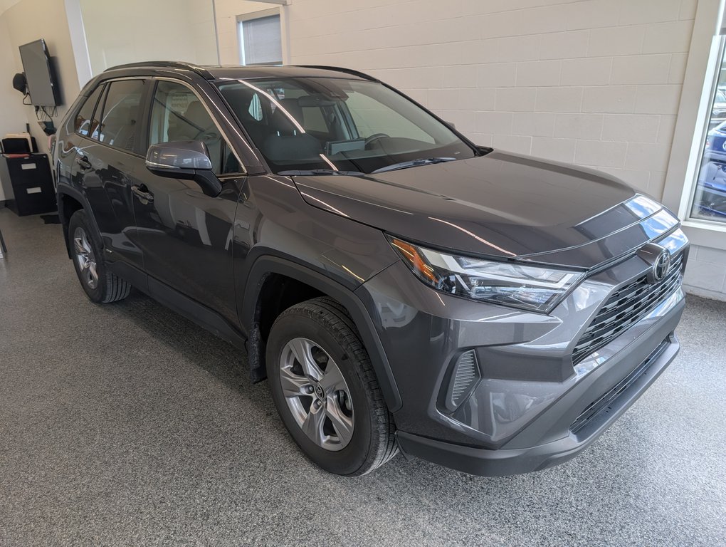 Toyota RAV4 Hybrid XLE AWD, 2025 à Magog, Québec - 1 - w1024h768px