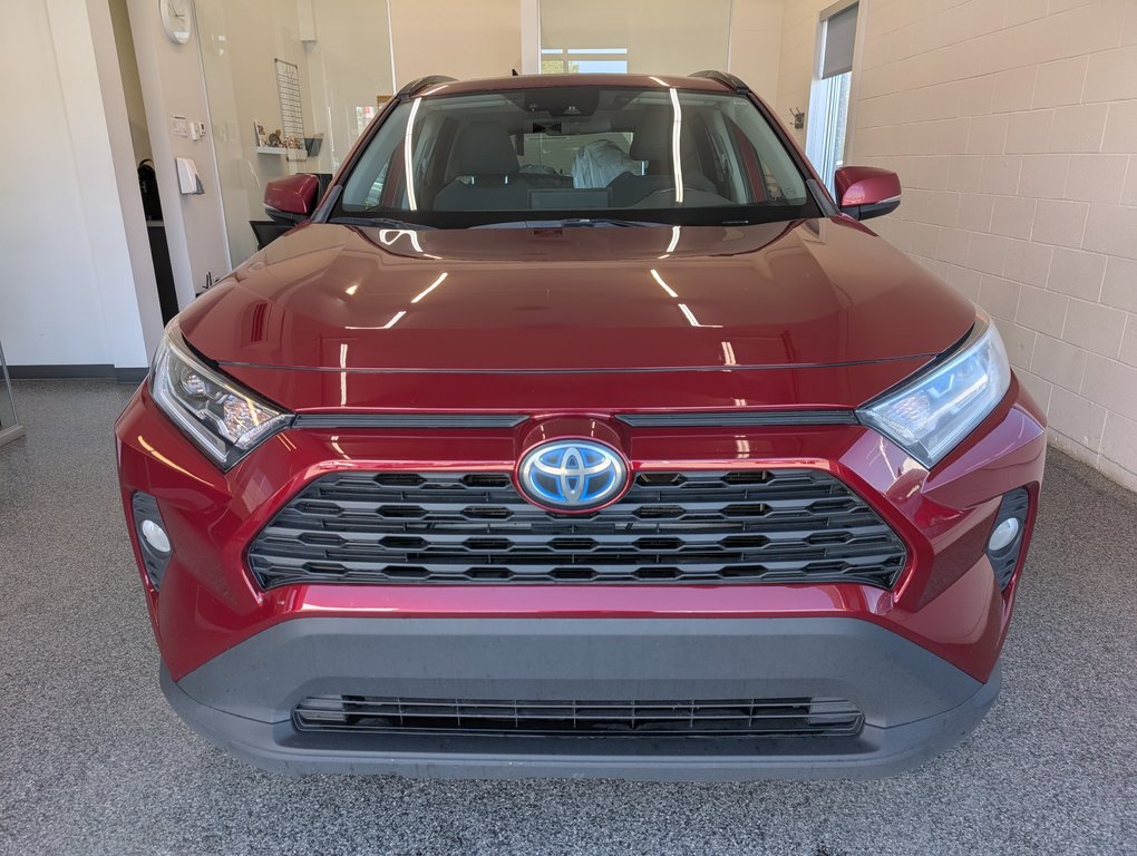 2021 Toyota RAV4 Hybride XLE AWD in Magog, Quebec - 5 - w1024h768px