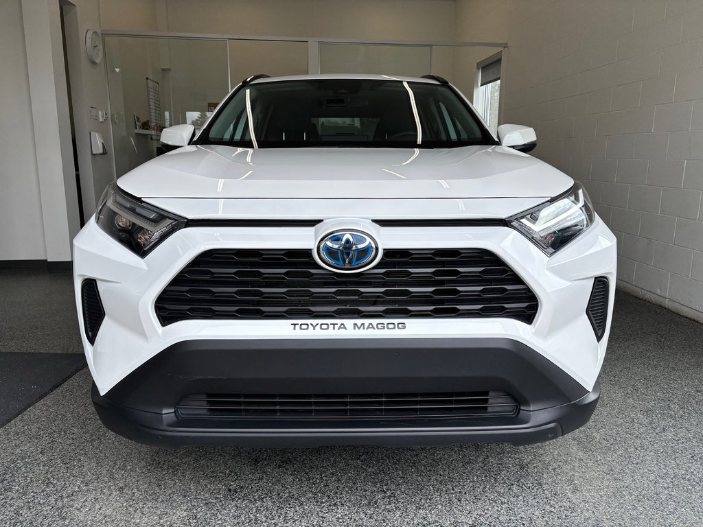 Toyota RAV4 Hybrid XLE AWD, 2024 à Magog, Québec - 6 - w1024h768px
