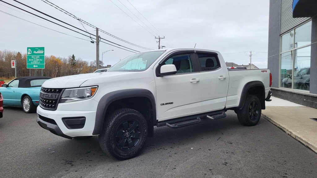 Chevrolet Colorado 4WD Work Truck 2019 à Matane, Québec - 3 - w1024h768px