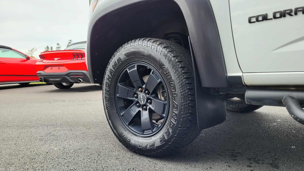 Chevrolet Colorado 4WD Work Truck 2019 à Matane, Québec - 13 - w1024h768px