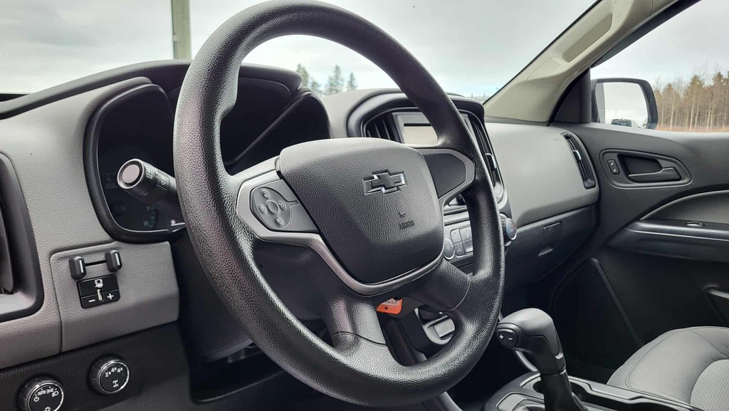 Chevrolet Colorado 4WD Work Truck 2019 à Matane, Québec - 18 - w1024h768px
