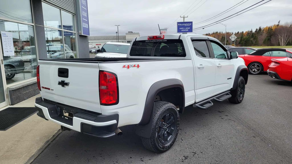 Chevrolet Colorado 4WD Work Truck 2019 à Matane, Québec - 7 - w1024h768px