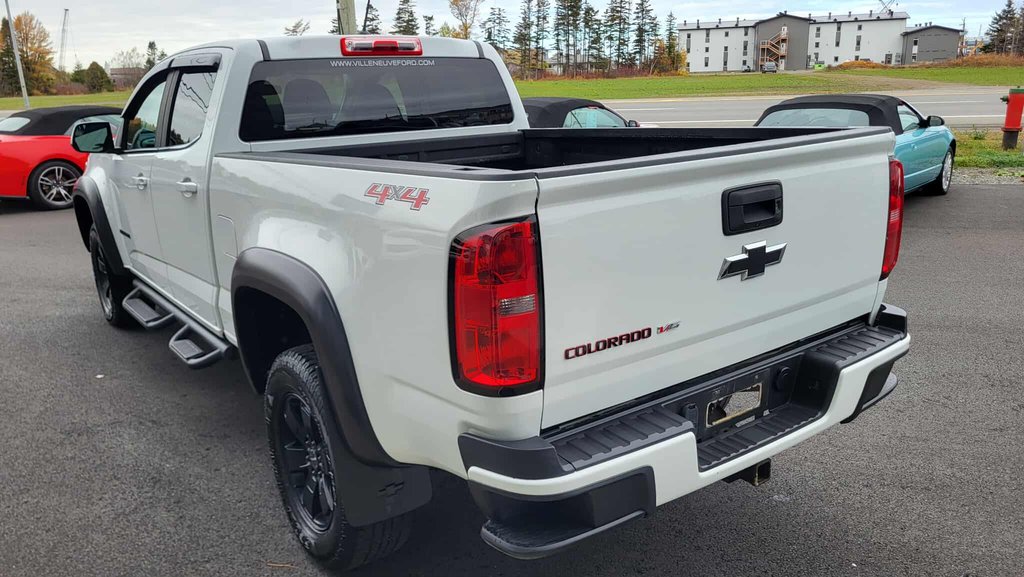Chevrolet Colorado 4WD Work Truck 2019 à Matane, Québec - 5 - w1024h768px
