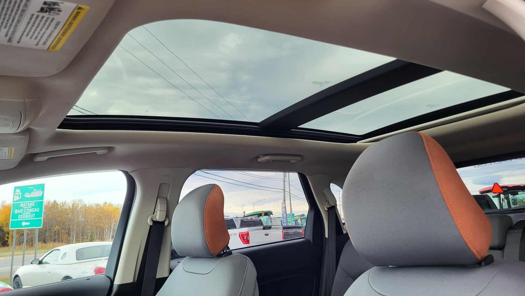 Ford Edge SEL  ENSEMBLE DÉCOR  AWD 2018 à Matane, Québec - 16 - w1024h768px