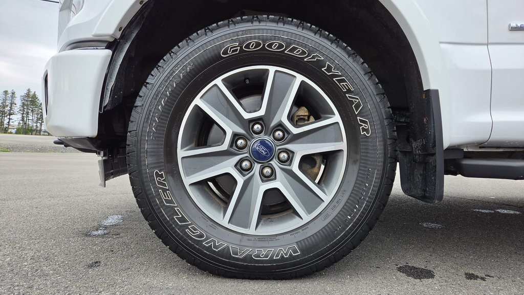 Ford F-150 XLT SPORT  301A 2015 à Matane, Québec - 11 - w1024h768px