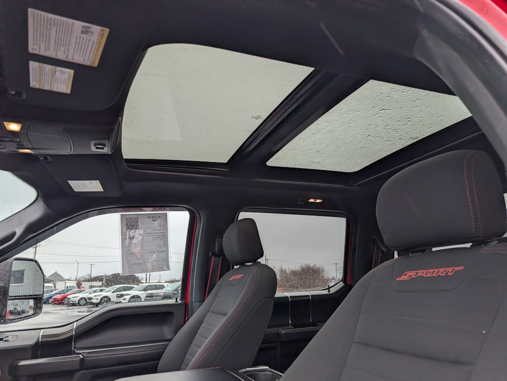 Ford F-150 XLT SPORT  302A   ÉDITION SPÉCIALE 2019 à Matane, Québec - 15 - w1024h768px