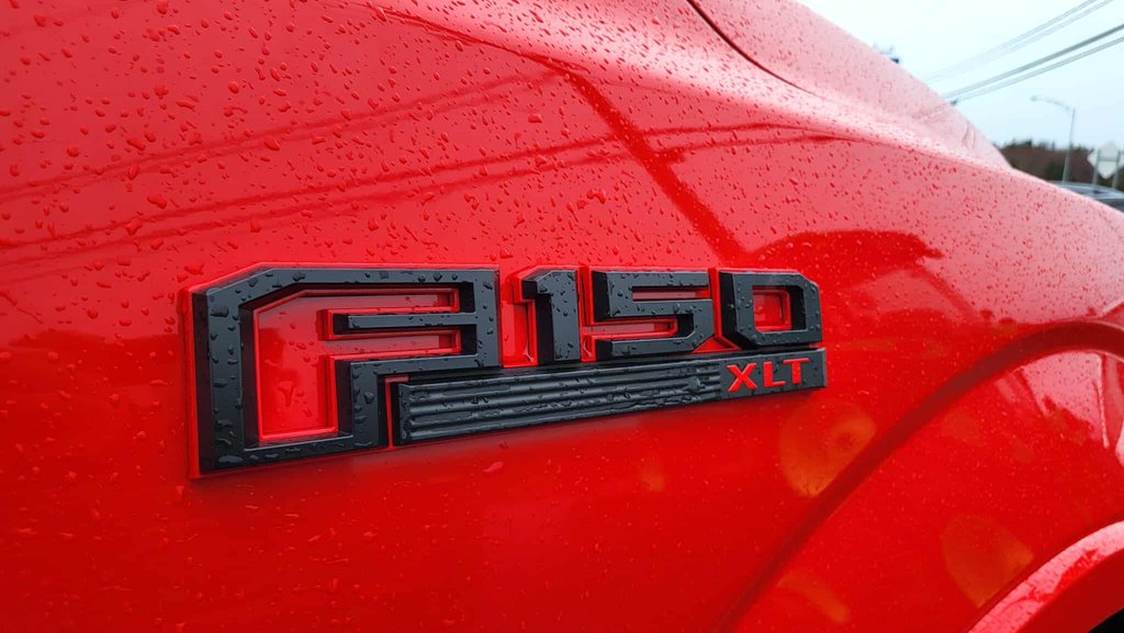 Ford F-150 XLT SPORT  302A   ÉDITION SPÉCIALE 2019 à Matane, Québec - 4 - w1024h768px