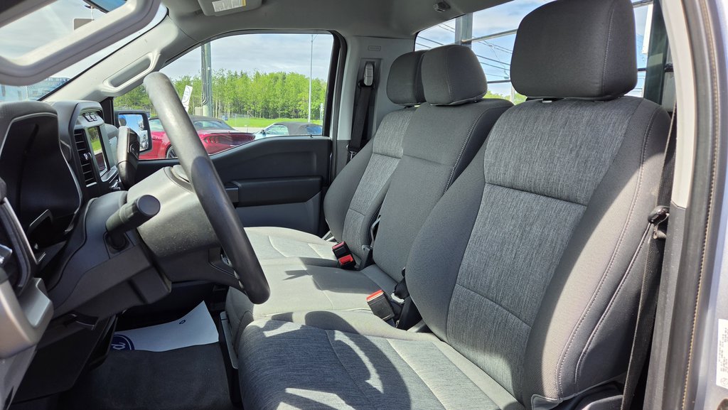 Ford F-150 XL  4X2 Régulier Cab 2021 à Matane, Québec - 14 - w1024h768px