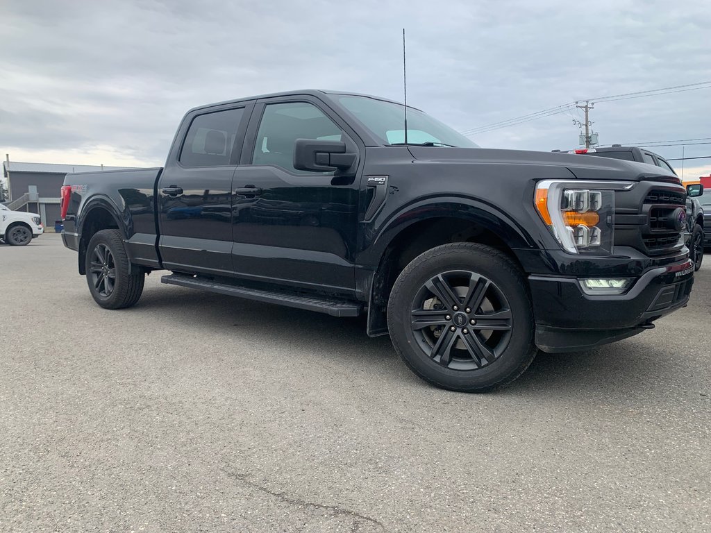 Ford F-150 XLT  SPORT 302A  FX4 2021 à Matane, Québec - 3 - w1024h768px