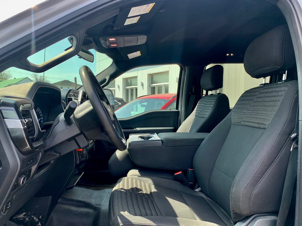 Ford F-150 XL  ENSEMBLE STX 101A 2021 à Matane, Québec - 7 - w1024h768px