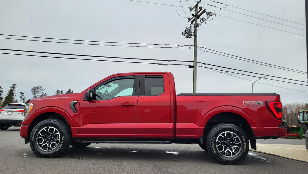 Ford F-150 XLT SPORT 302A 2021 à Matane, Québec - 8 - w1024h768px