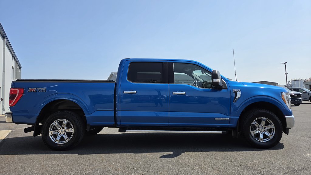 Ford F-150 XLT  ENSEMBLE XTR 302A 2021 à Matane, Québec - 4 - w1024h768px