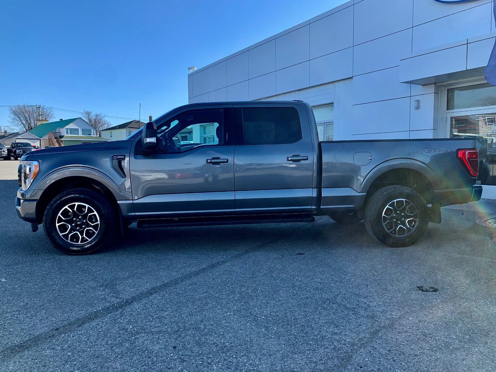 Ford F-150 XLT  SPORT  302A 2022 à Matane, Québec - 5 - w1024h768px