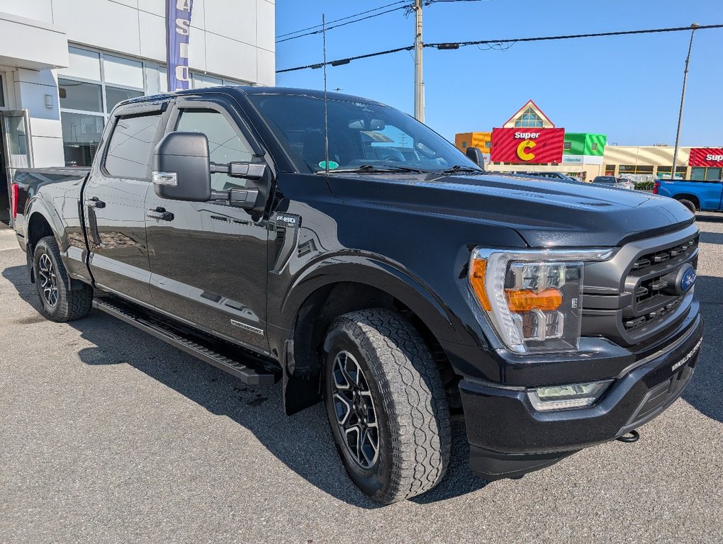 Ford F-150 XLT SPORT 302A 2022 à Matane, Québec - 7 - w1024h768px