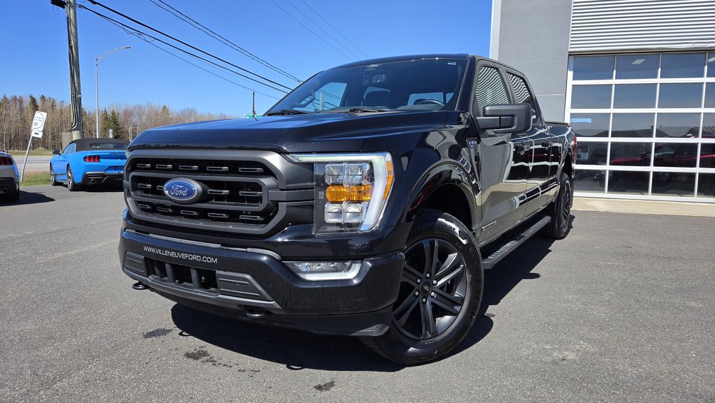 Ford F-150 XLT SPORT 302A HYBRIDE 2022 à Matane, Québec - 1 - w1024h768px