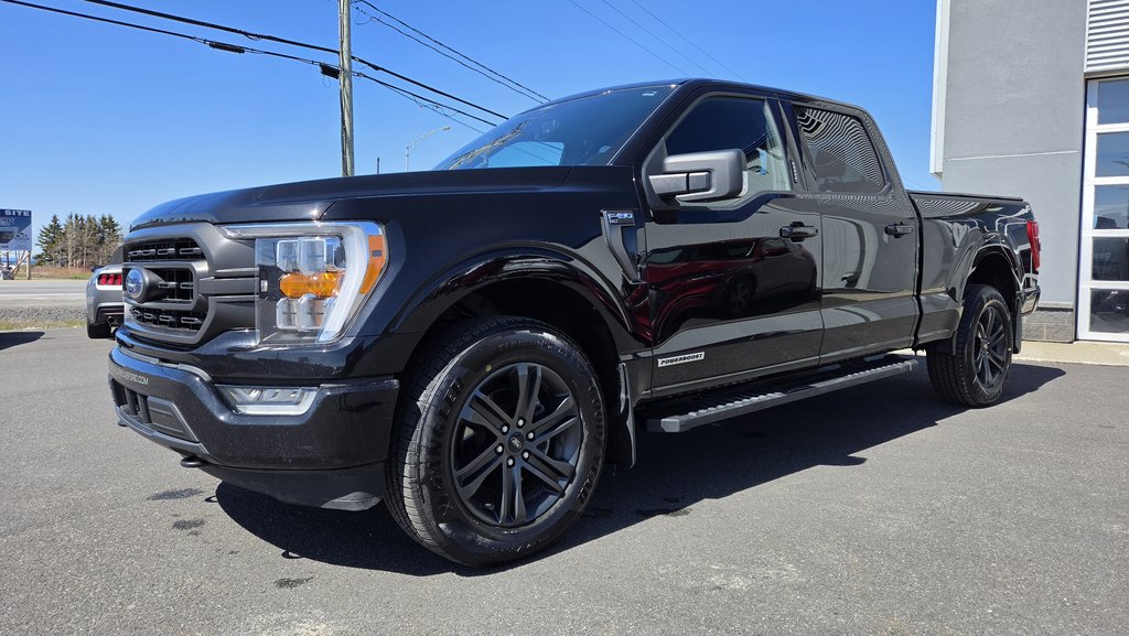 Ford F-150 XLT SPORT 302A HYBRIDE 2022 à Matane, Québec - 9 - w1024h768px