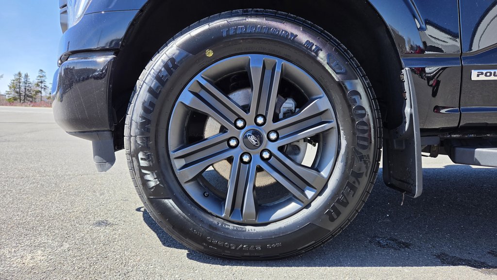 Ford F-150 XLT SPORT 302A HYBRIDE 2022 à Matane, Québec - 10 - w1024h768px
